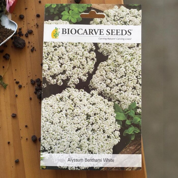 tropical botanic alyssum seeds tropical botanic alyssum seeds