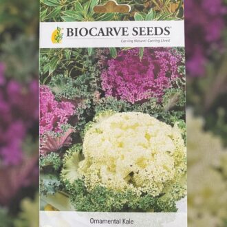 tropical botanic ornamental kale seeds