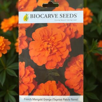 tropical botanic marigold seeds