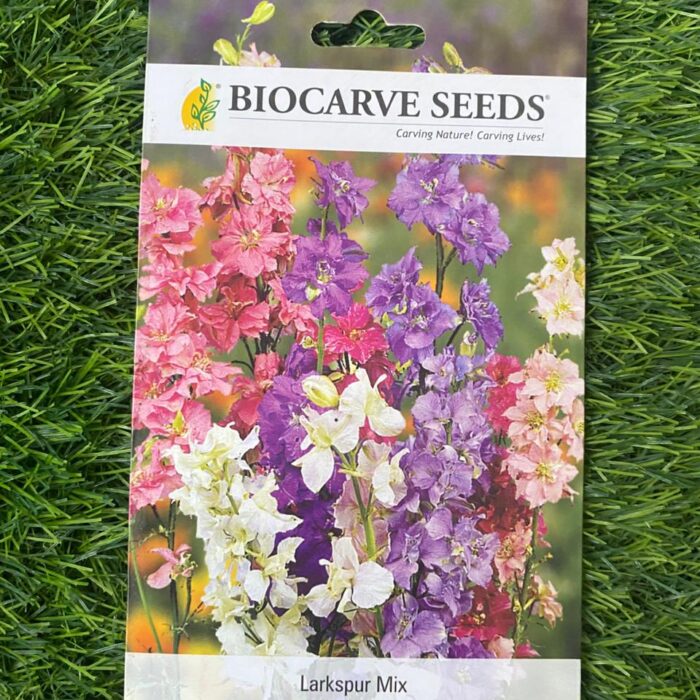 2 Larkspur - Delphinium consolida Mixed