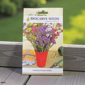 Tropical Botnic Limonium sinuatum seeds
