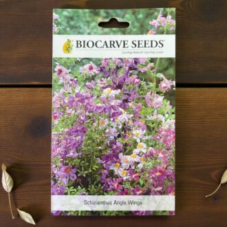 tropical botanic Schizianthus seeds