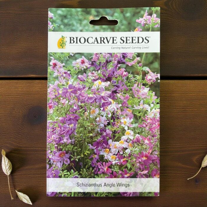 tropical botanic Schizianthus seeds