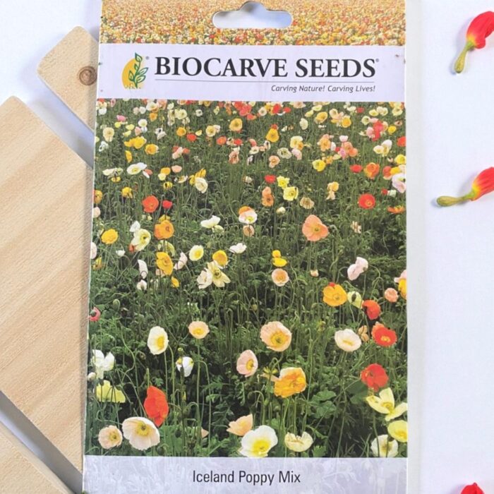 tropical botanic iceland poppy seeds tropical botanic iceland poppy seeds