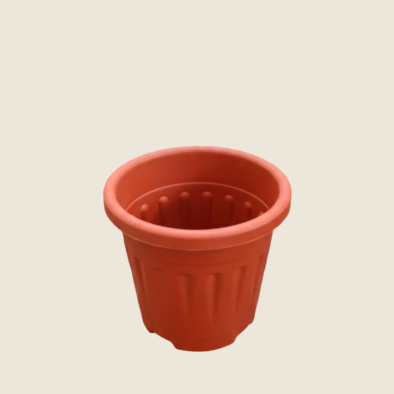 6 inch terracotta grow pot angle 2 6 inch terracotta grow pot angle 2