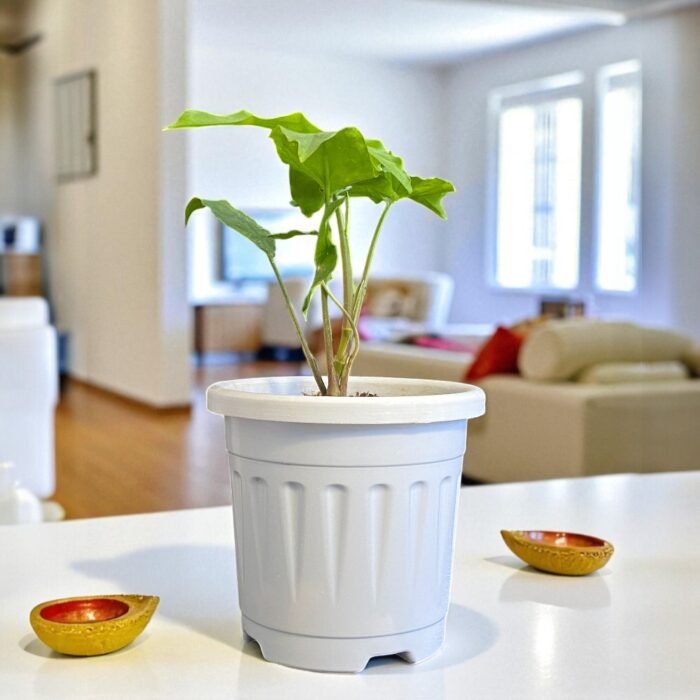 white plastic grow pot