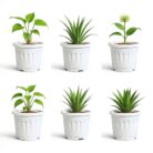 Tropical Botanic Plastic grow pots