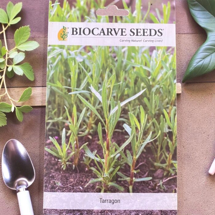 tropical botanic tarragon seeds tropical botanic tarragon seeds