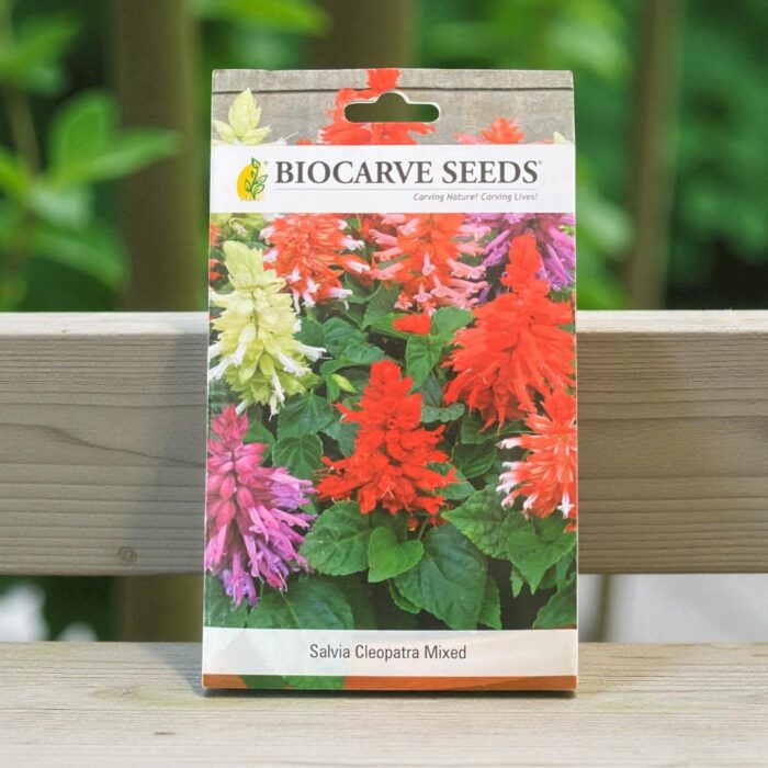 tropical botanic salvia cleopatra mixed seeds