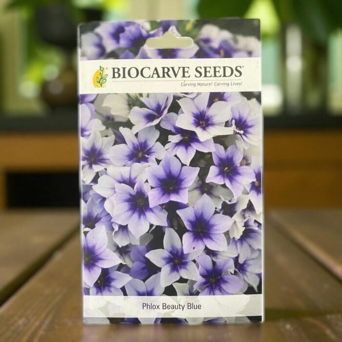 tropical botanic phlox beauty blue seeds