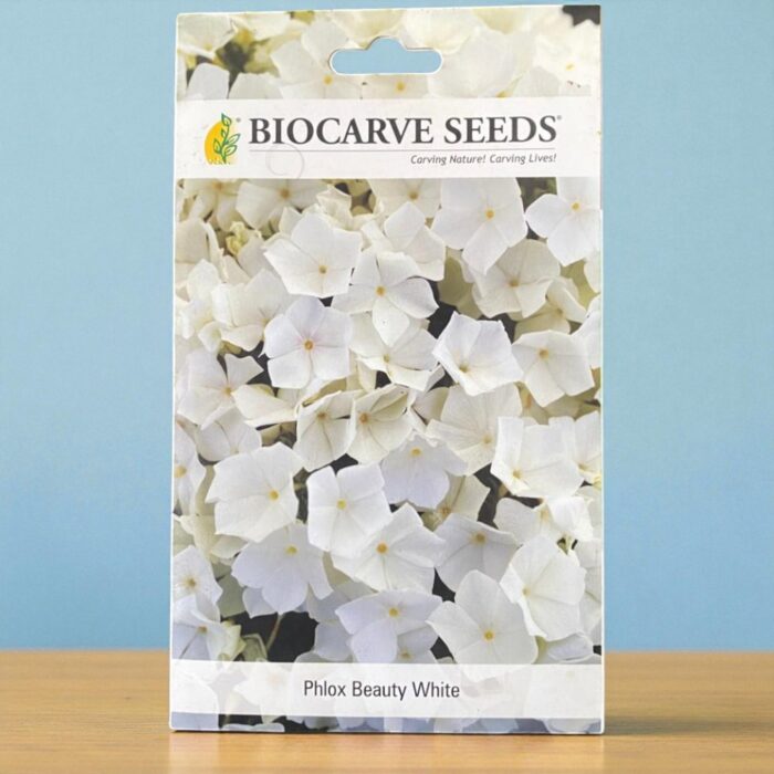 Tropical Botanic phlox beauty white seeds