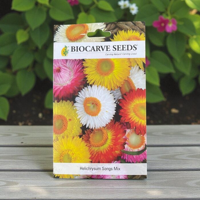 Tropical Botanic Helichrysum seeds