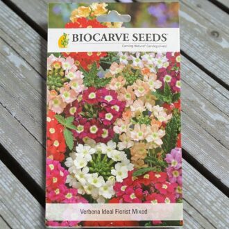 tropical botanic verbena seeds