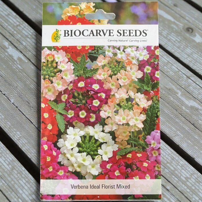 tropical botanic verbena seeds