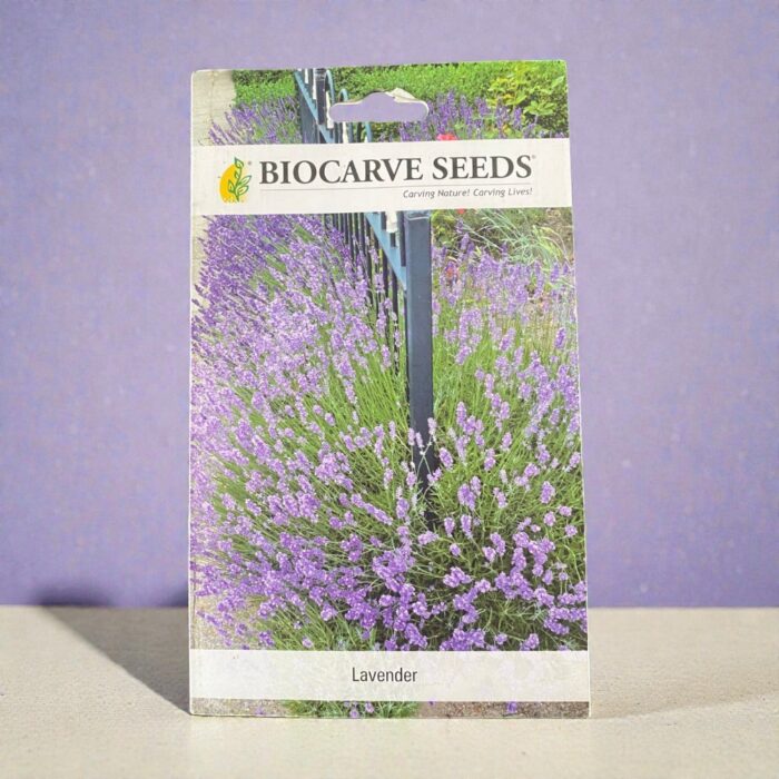 tropical botanic lavender seeds
