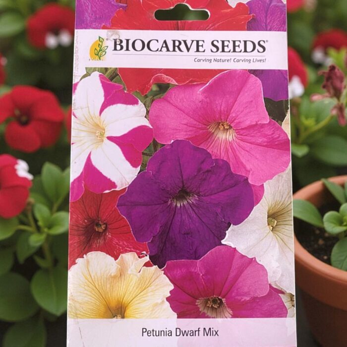 tropical botanic petunia dwarf mix seeds
