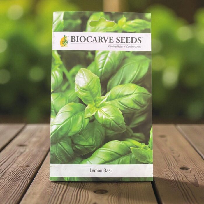 tropical botanic lemon basil seeds