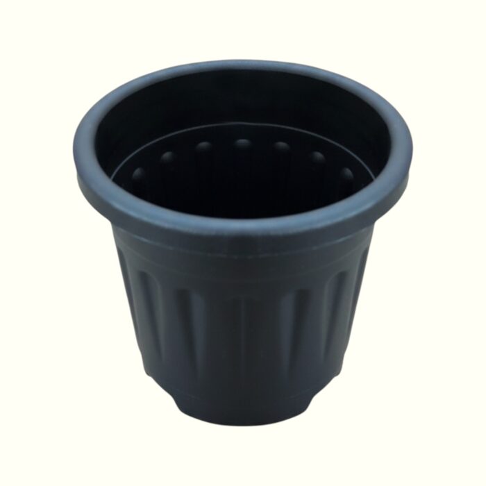 tropical botanic black pot