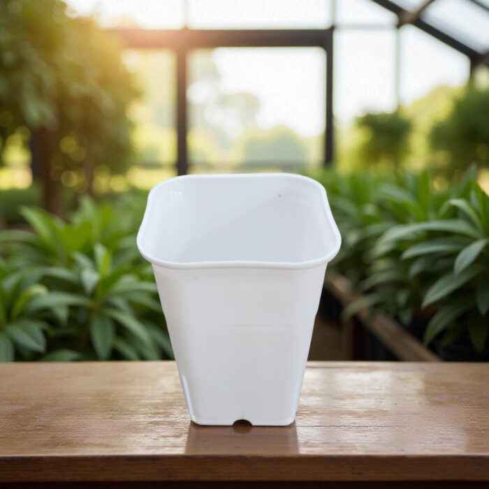 tropical botanic square pot