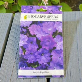 tropical botanic petunia blue seeds