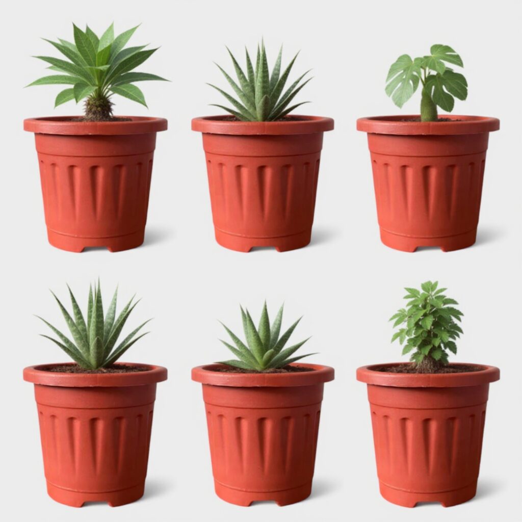 plastic grow pot terracotta