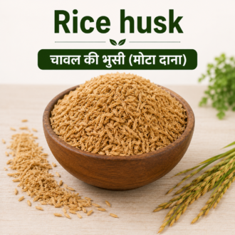 Rice husk used as a lightweight aerating ingredient in a hibiscus potting mix