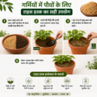 description rice-husk-tropical-botanicrice-husk-tropical-botanic-usecase