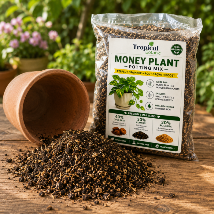 money-plant-potting-mix