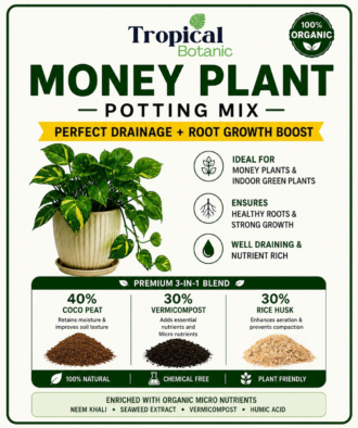 money-plant-potting-mix