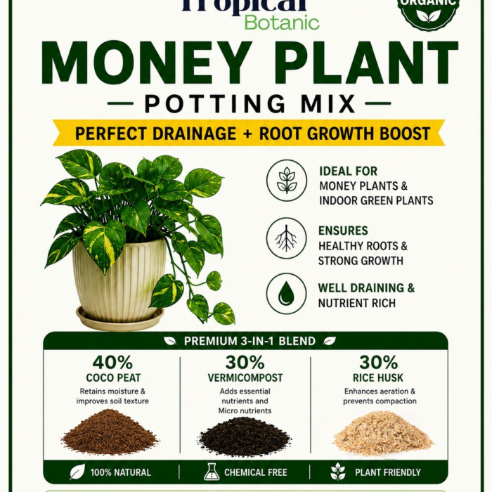 money-plant-potting-mix
