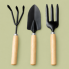 Tropical Botanic 3 Pcs Wooden Gardening Tool Kit | Hand Trowel, Fork & Cultivator .
