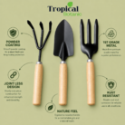 2 wooden kit features tropical botanic